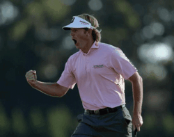 Brandt Snedeker, Ryder Cup Contender had hip surgery at the Steadman Clinic in November 2011.